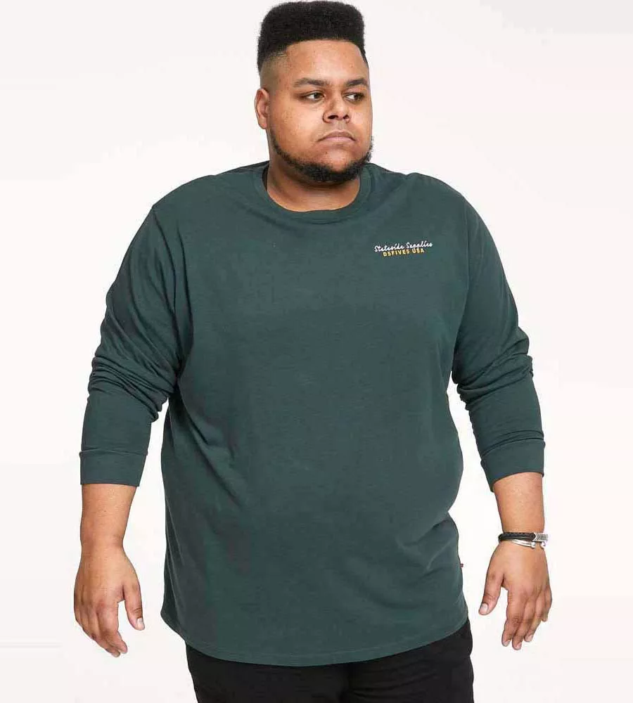 Big and Tall Men's Long Sleeve Printed T-Shirt (LINCOLN) by D555