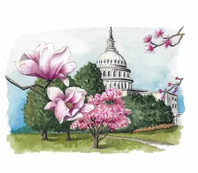 DC Capitol Hill Greeting Card with Magnolia Design - Top Results