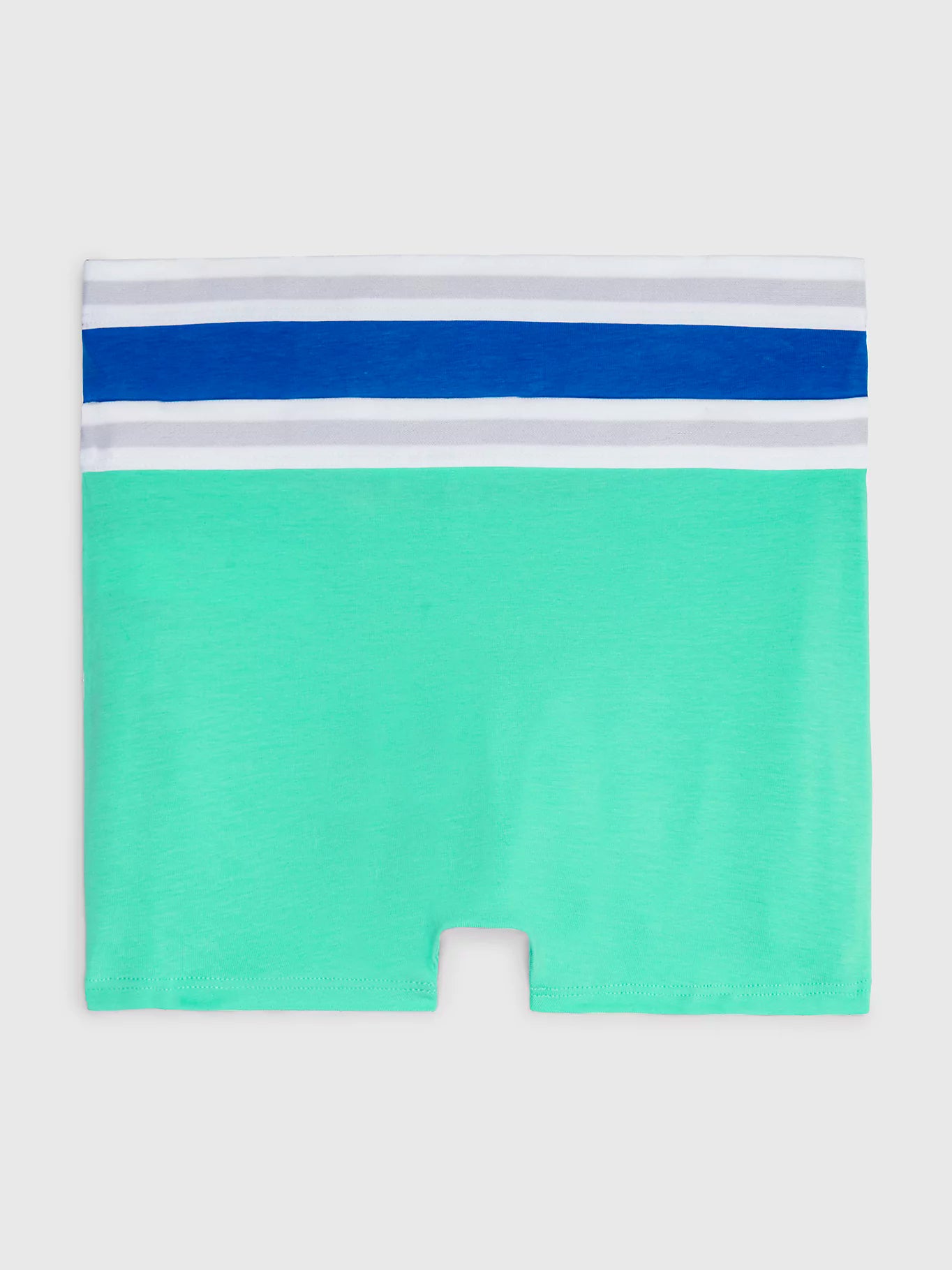 Tommy Hilfiger Boys Logo Trunks with Waistband