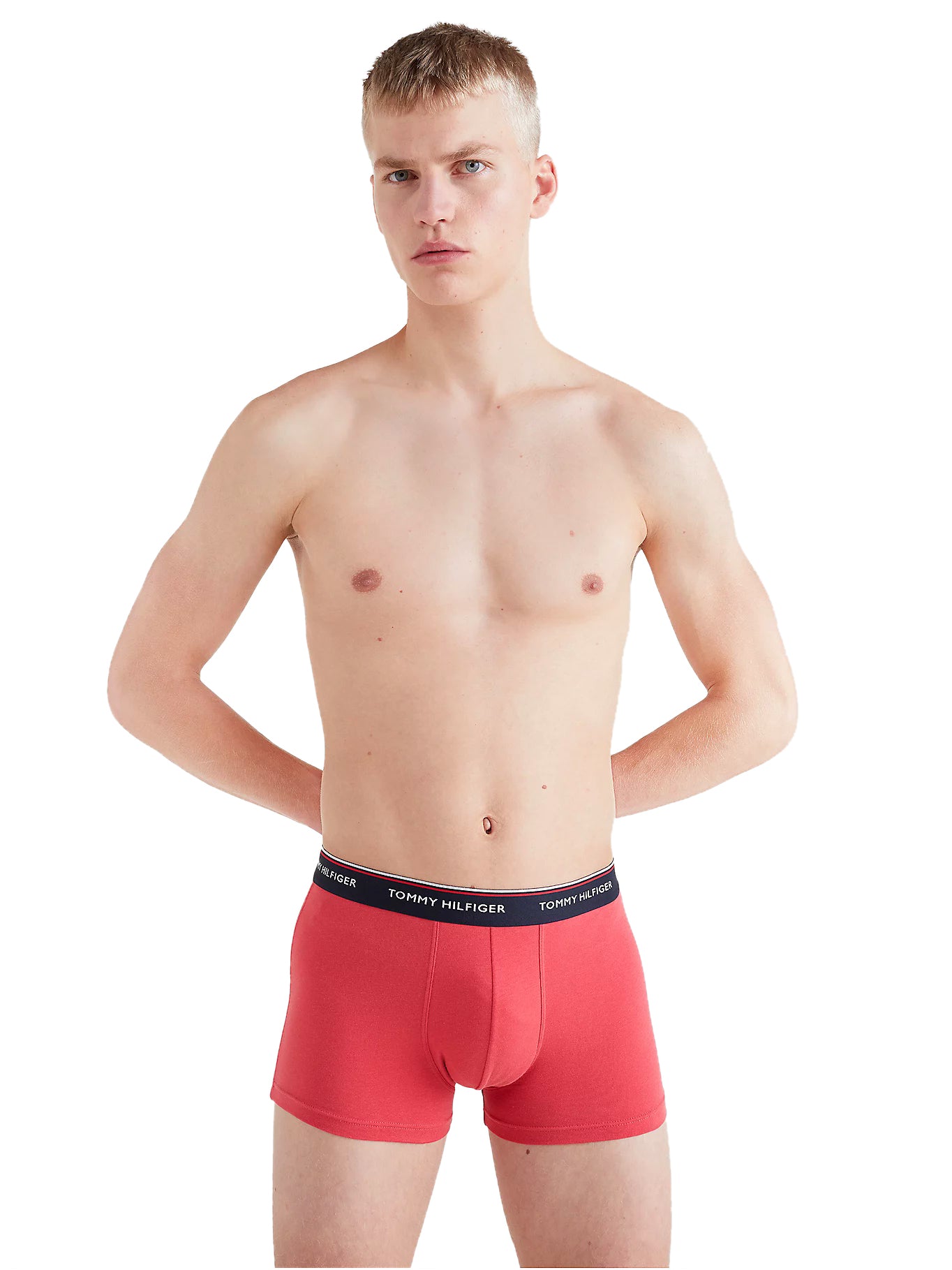 Tommy Hilfiger Men's Boxers - Premium Essentials Contrast Waistband 3 Pack - Google SEO.